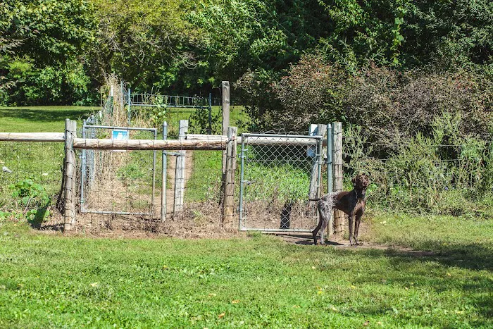 Canine Corners Dog Park - Searls Park 7