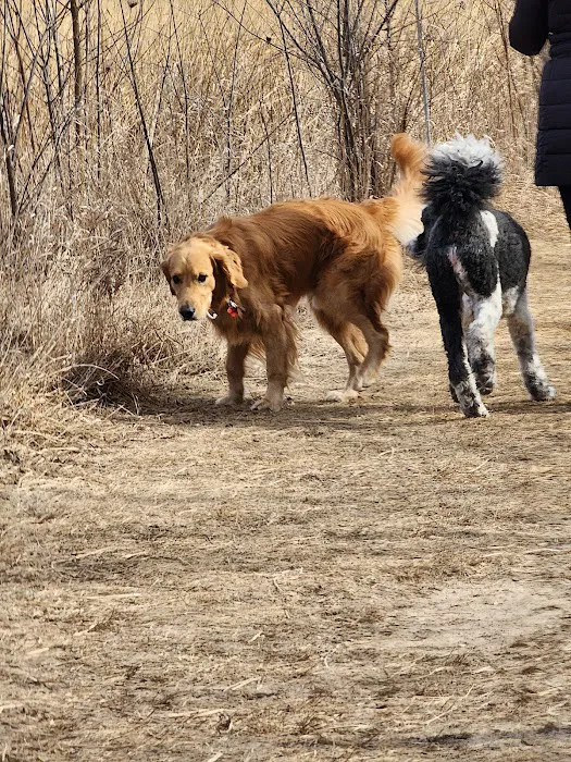 BCCD Hammertime Unleashed Dog Park 10