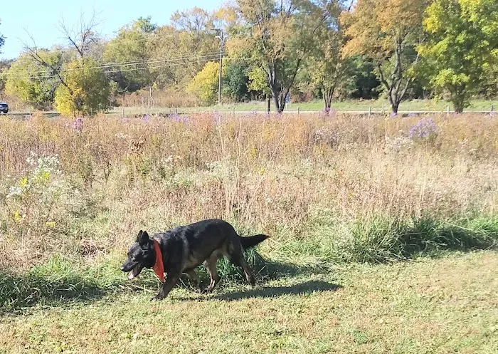 BCCD Hammertime Unleashed Dog Park 7