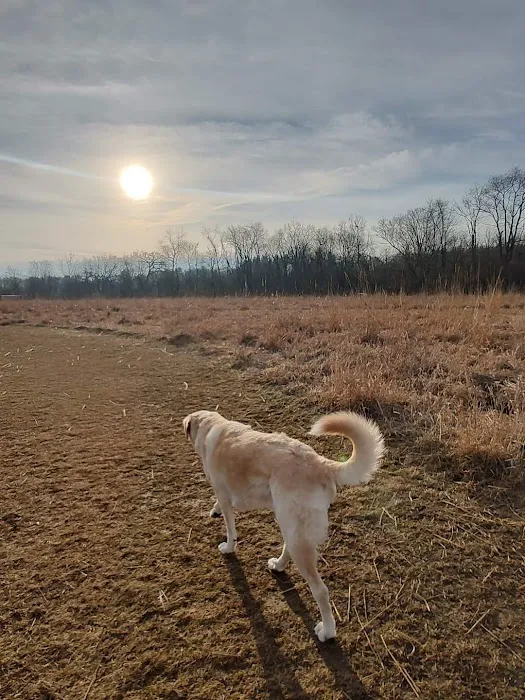 BCCD Hammertime Unleashed Dog Park 6