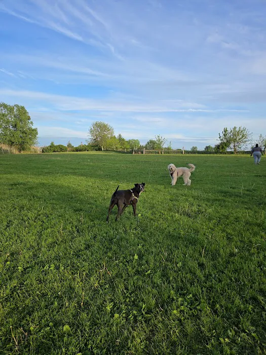 Canine Corners Dog Park - Elliot Park 5
