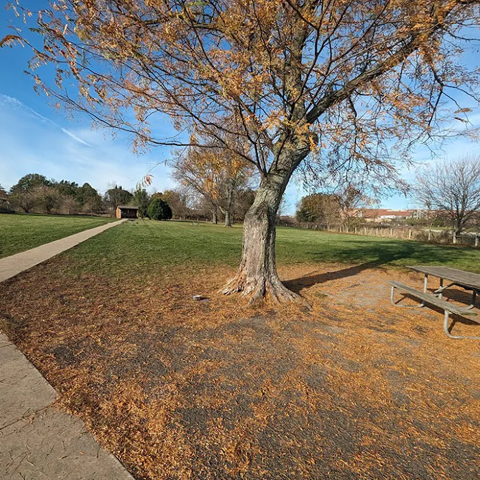 Canine Corners Dog Park - Elliot Park 7