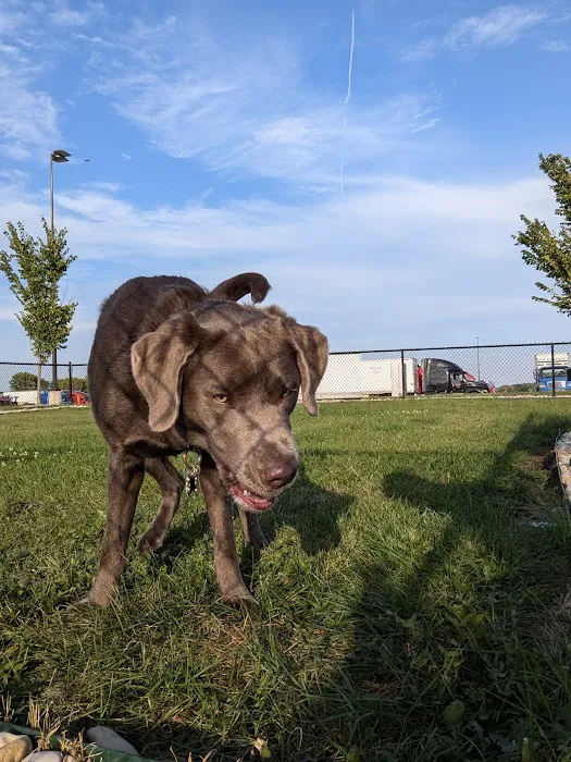 Dog Park at Love's Travel Stops 1