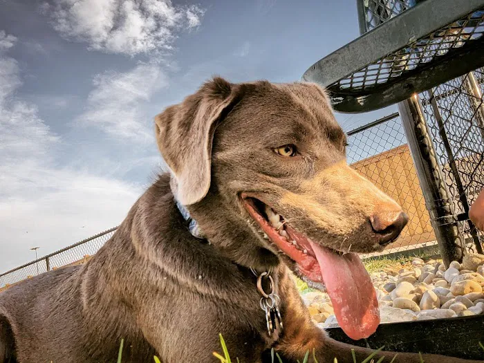 Dog Park at Love's Travel Stops 7