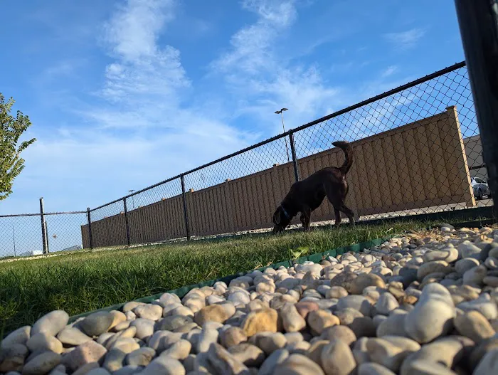 Dog Park at Love's Travel Stops 3
