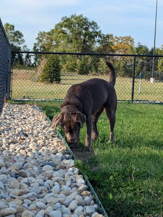 Dog Park at Love's Travel Stops 5