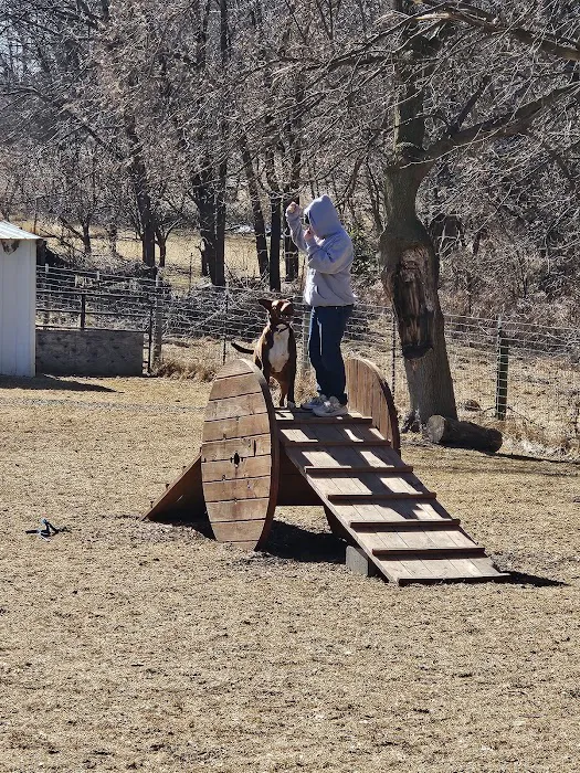 Fly Dog Parks 2