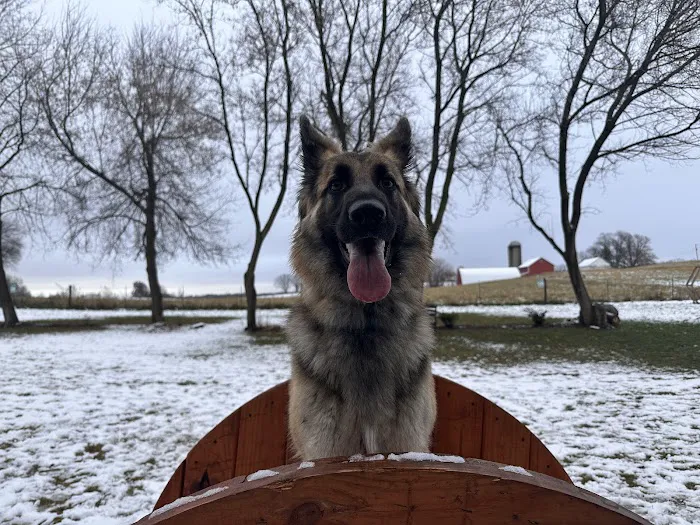 Fly Dog Parks 1