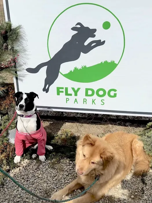Fly Dog Parks 4