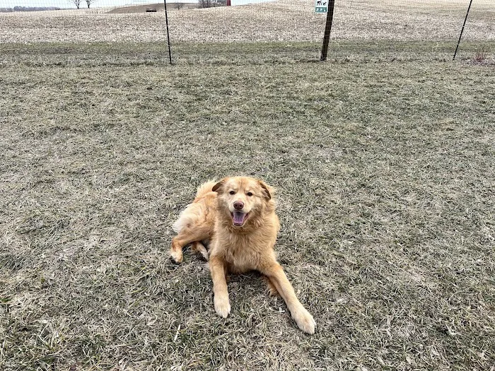 Fly Dog Parks 5