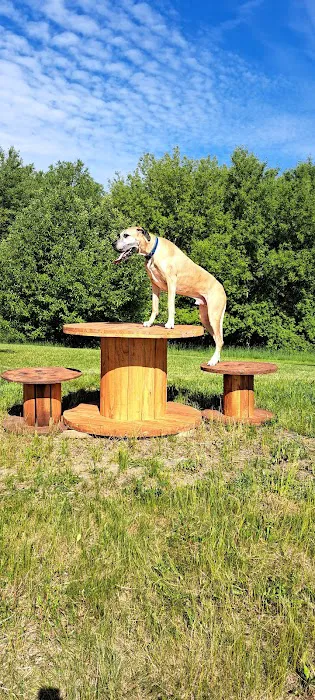Fly Dog Parks 7