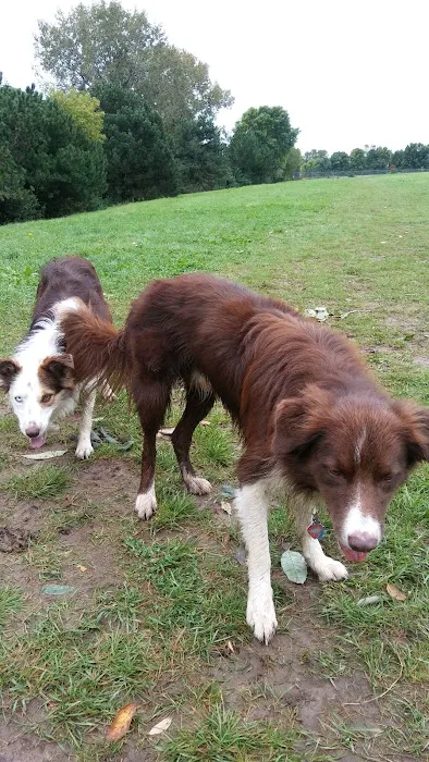 Sheboygan Dog Park 1