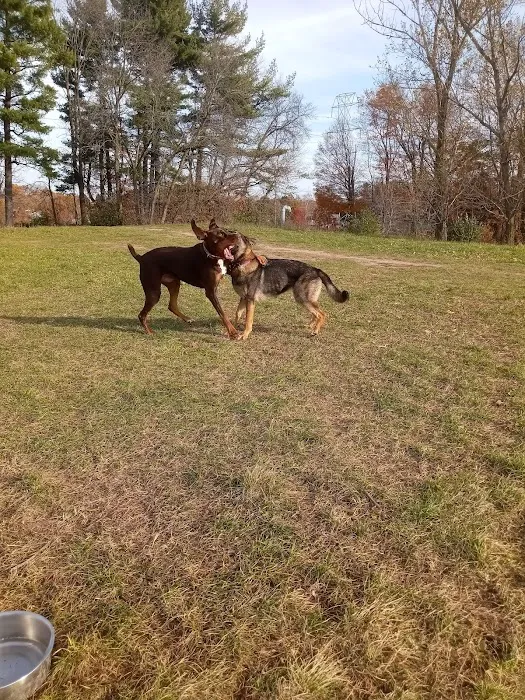 Sheboygan Dog Park 6