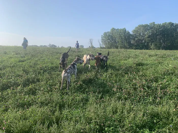 Sheboygan Dog Park 4