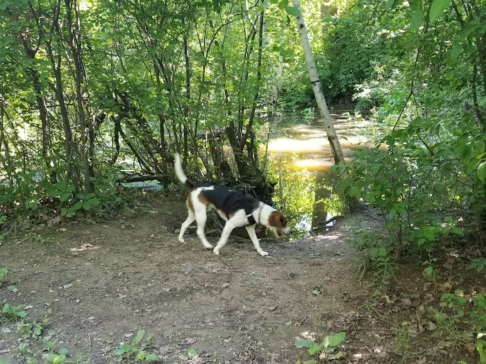 Sheboygan Dog Park 9