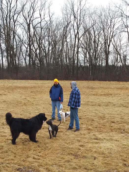 Sheboygan Dog Park 10