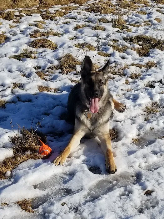 Sheboygan Dog Park 3
