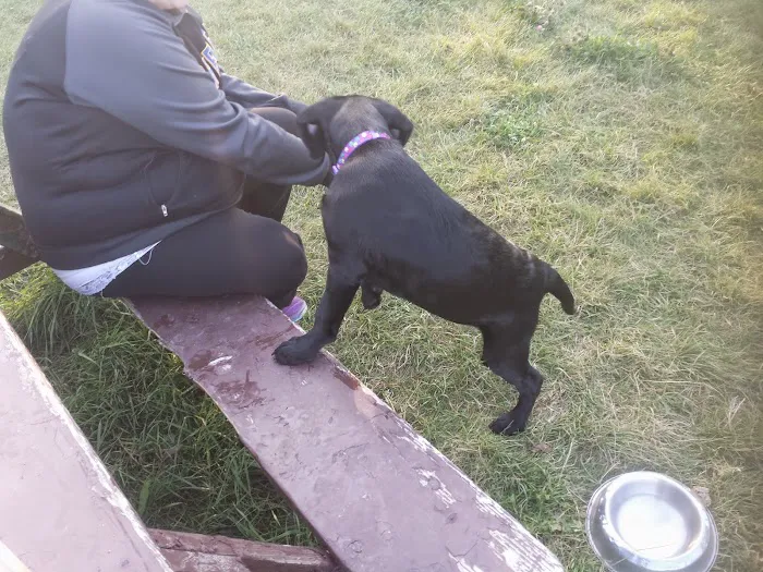 Sheboygan Dog Park 5