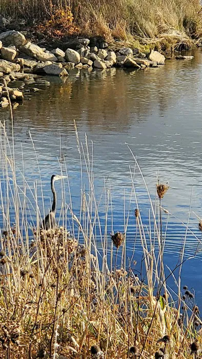 Beaver Dam Big Dog Park 3