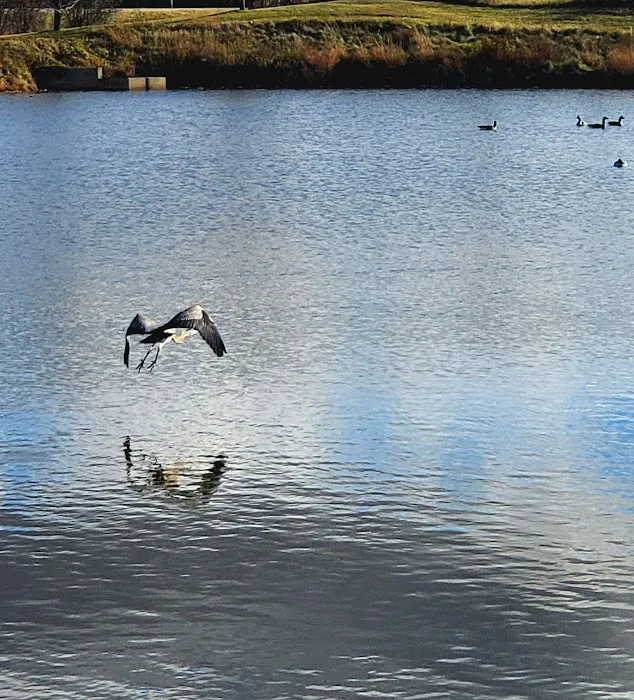 Beaver Dam Big Dog Park 6