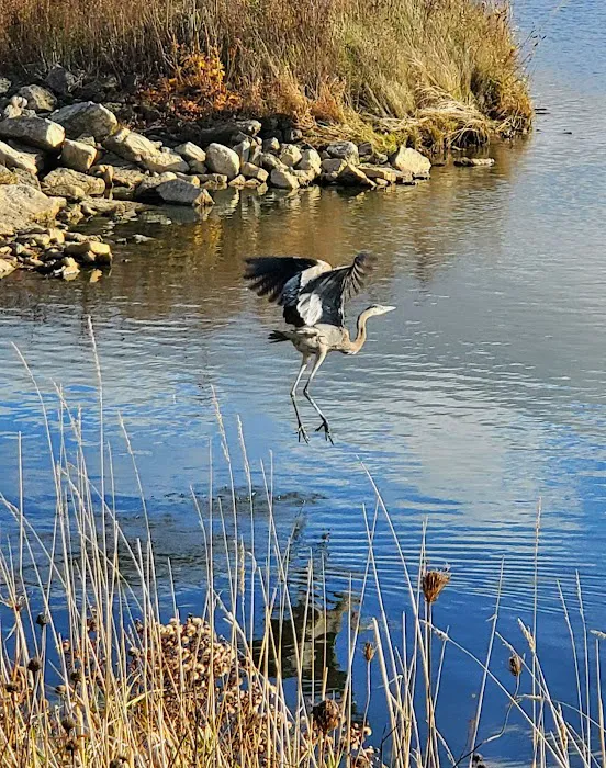 Beaver Dam Big Dog Park 4