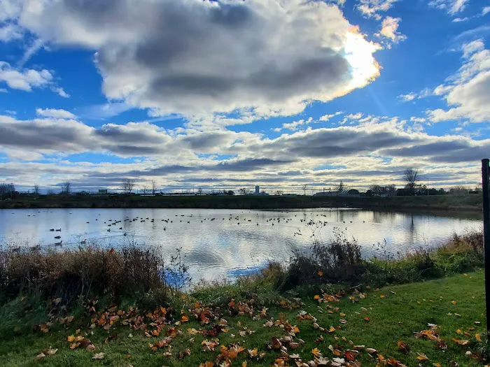 Beaver Dam Big Dog Park 2