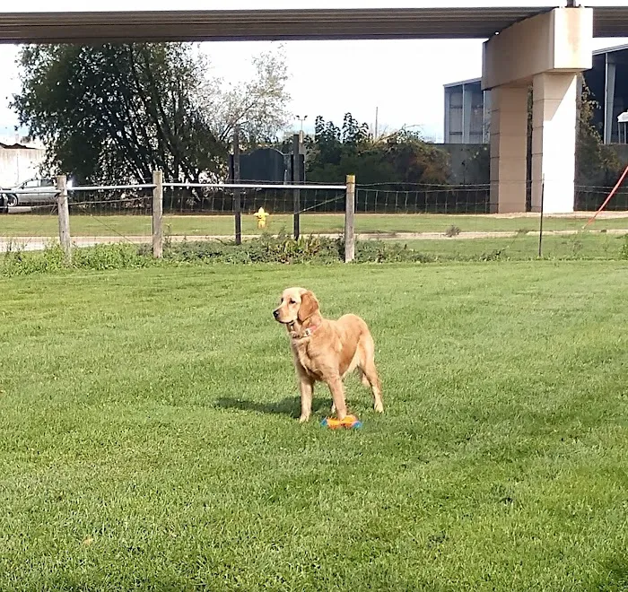 FIDO Dog Park 6
