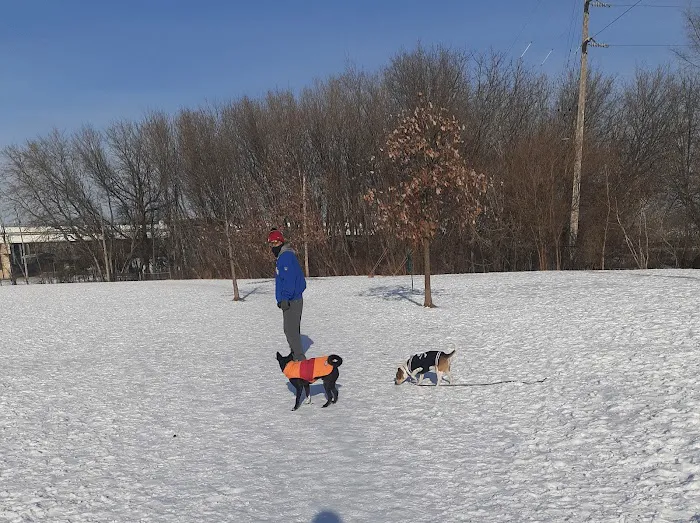FIDO Dog Park 9