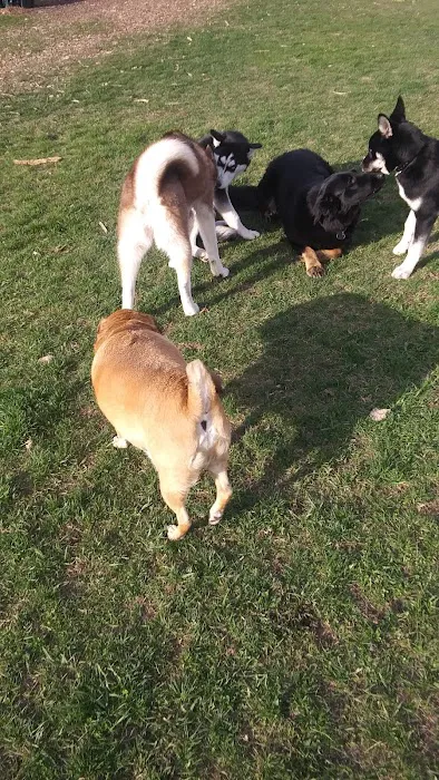 FIDO Dog Park 4