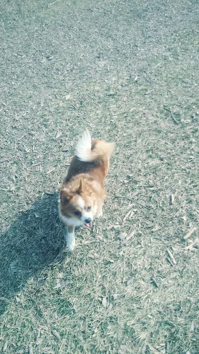 FIDO Dog Park 5