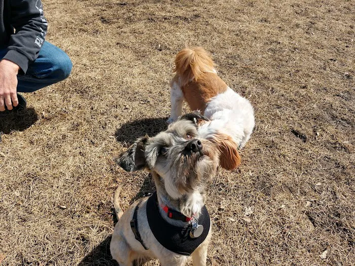 FIDO Dog Park 7