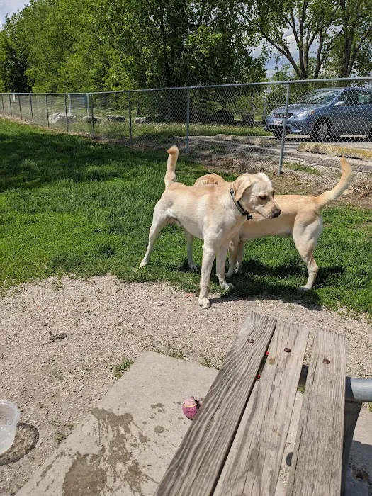 Lakeside Dog Park West 9