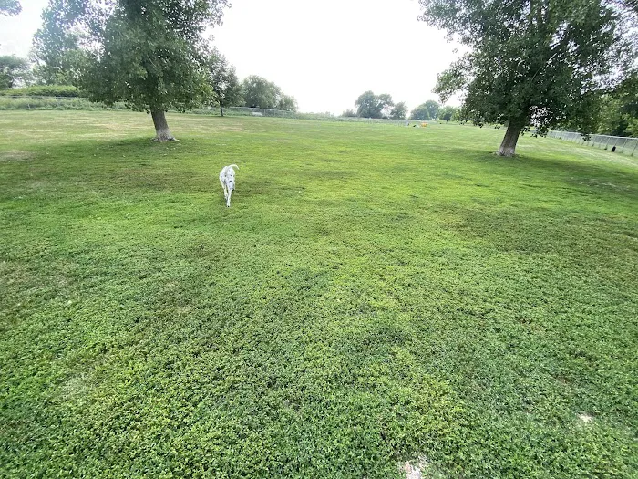Lakeside Dog Park West 4