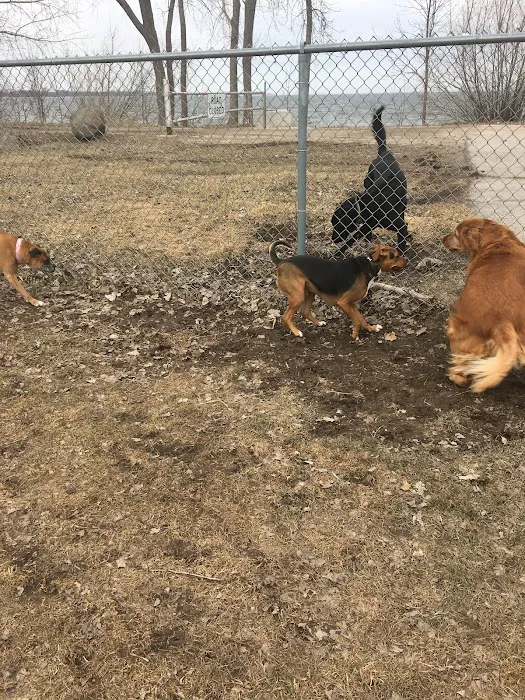 Lakeside Dog Park West 3