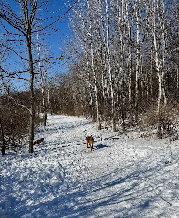 Prairie Moraine Dog Park 10