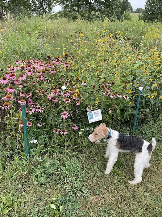 Prairie Moraine Dog Park 7