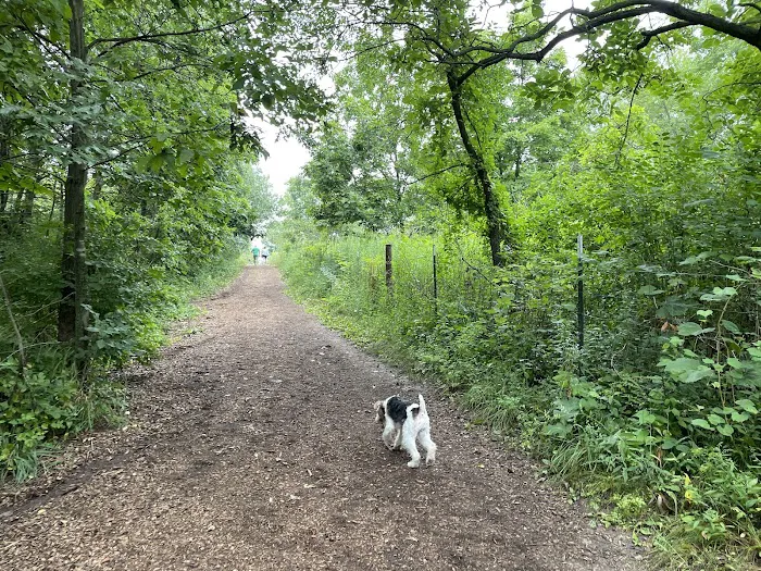 Prairie Moraine Dog Park 4