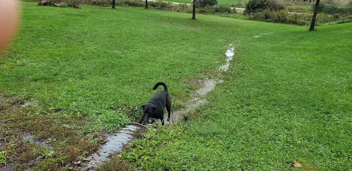 Prairie Moraine Dog Park 9