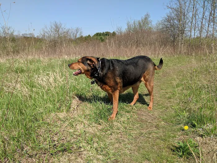 Prairie Moraine Dog Park 6