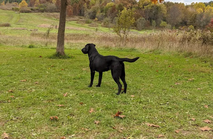 Prairie Moraine Dog Park 8