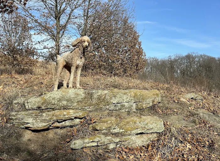 Prairie Moraine Dog Park 1