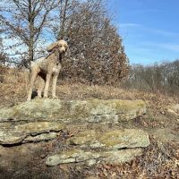 Prairie Moraine Dog Park ico