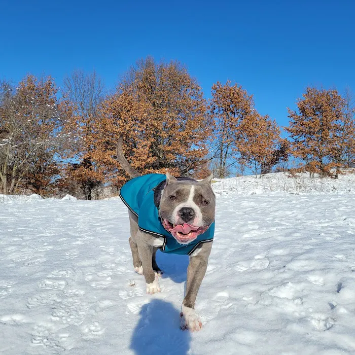 Prairie Moraine Dog Park 5