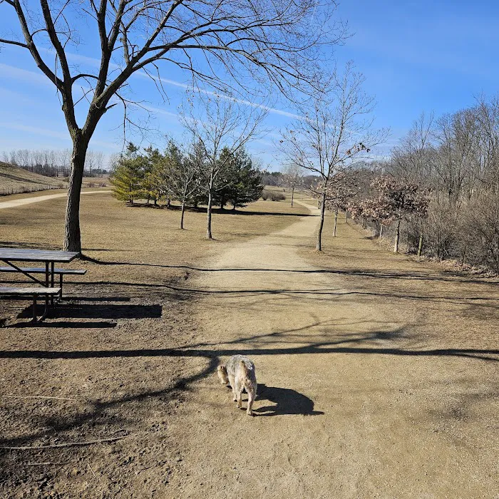 Badger Prairie Dog Park 8