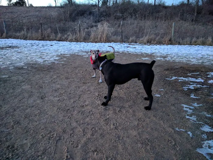 Badger Prairie Dog Park 1