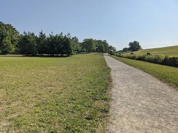 Badger Prairie Dog Park 7