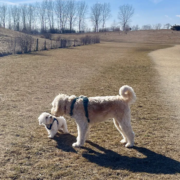 Badger Prairie Dog Park 10