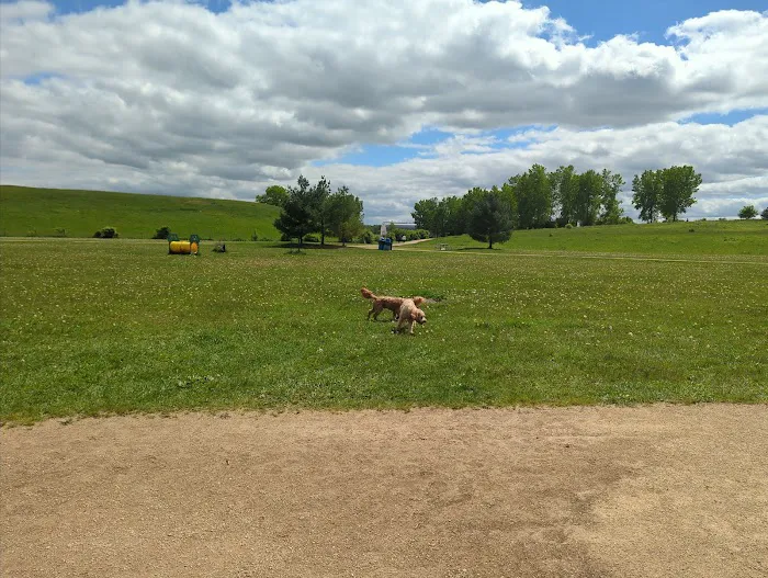 Badger Prairie Dog Park 5