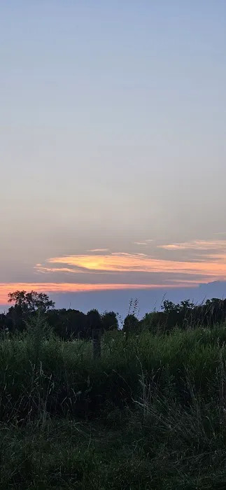 Badger Prairie Dog Park 9