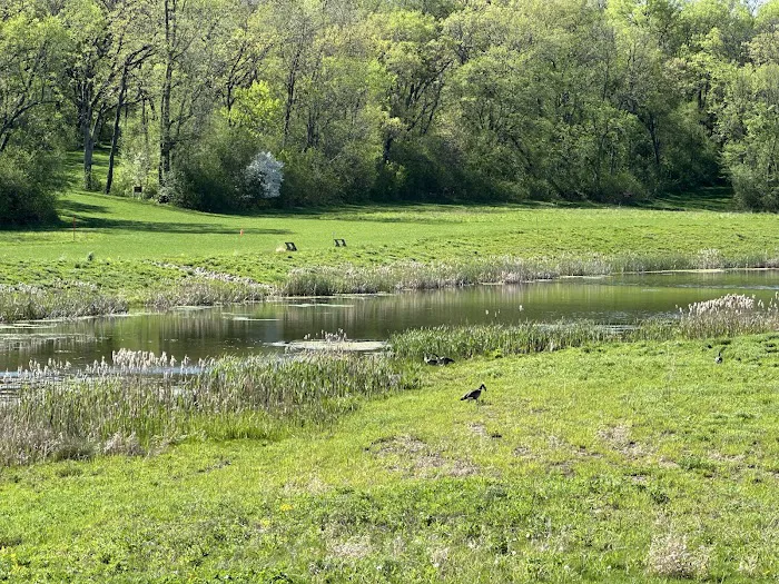 Badger Prairie Mountain Bike Trail Head 8